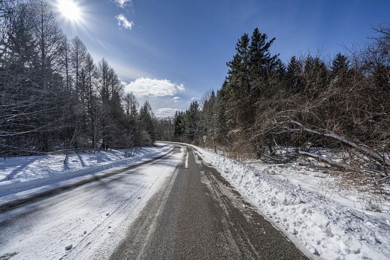 Canadian Forest Snowy Road Scenic View HDRi Maps and Backplates
