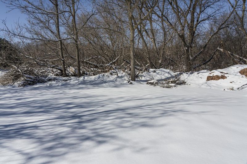 Canadian Forest: Snow-Covered Trees and Branches HDRi Maps and Backplates