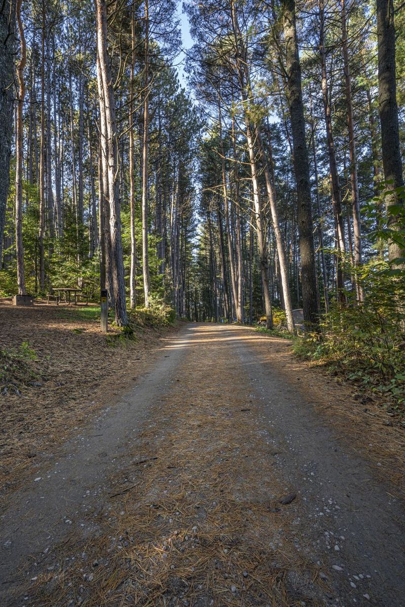 Canadian Landscape: Asphalt Road Meets Lush Vegetation HDRi Maps and ...