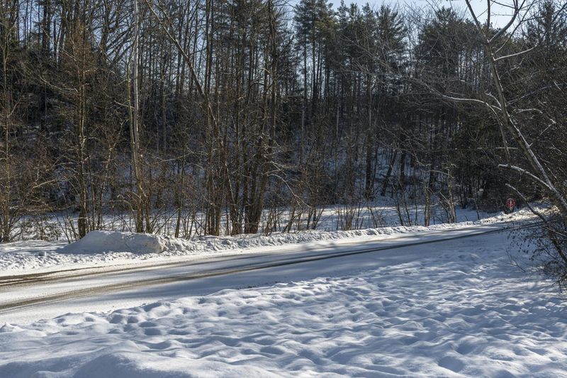 Canadian Landscape: Forest Road Nature HDRi Maps and Backplates