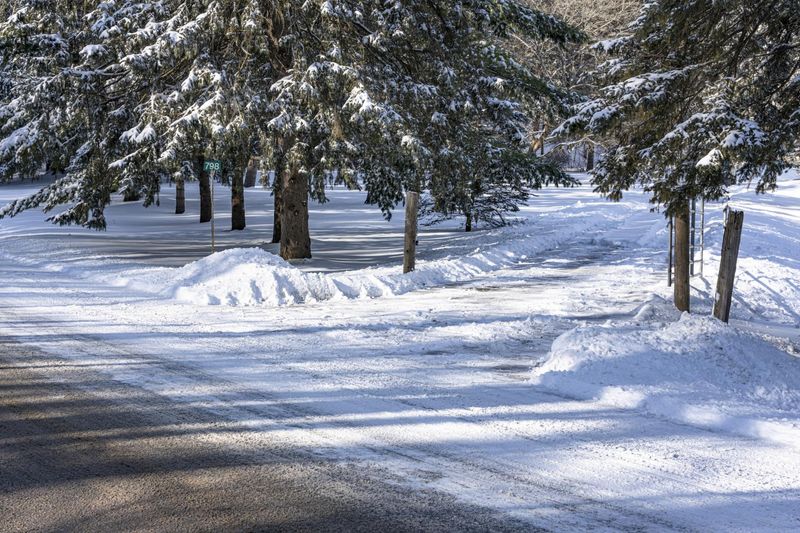 Canadian Landscape: Snow Covered Road and Pine Trees HDRi Maps and ...