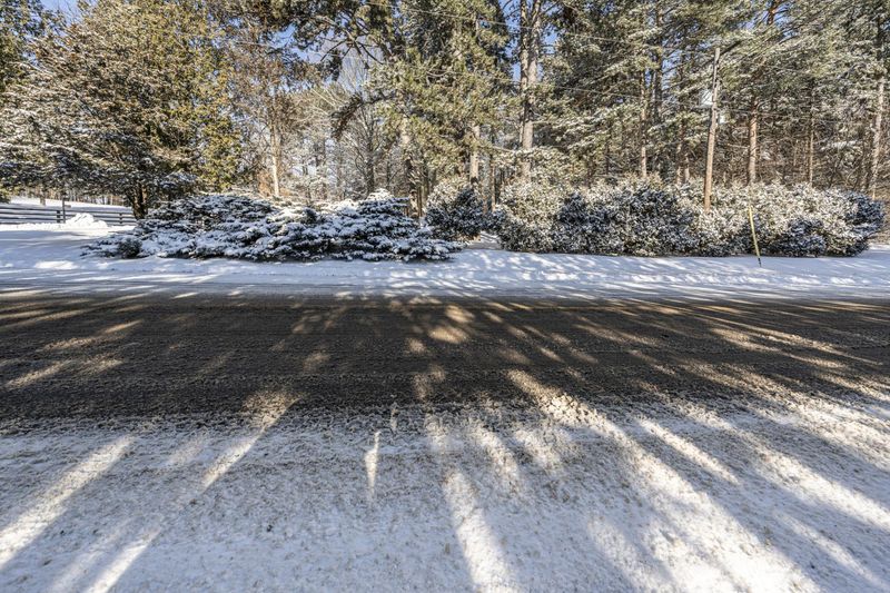 Canadian Landscape in Winter: Snowy Forest HDRi Maps and Backplates