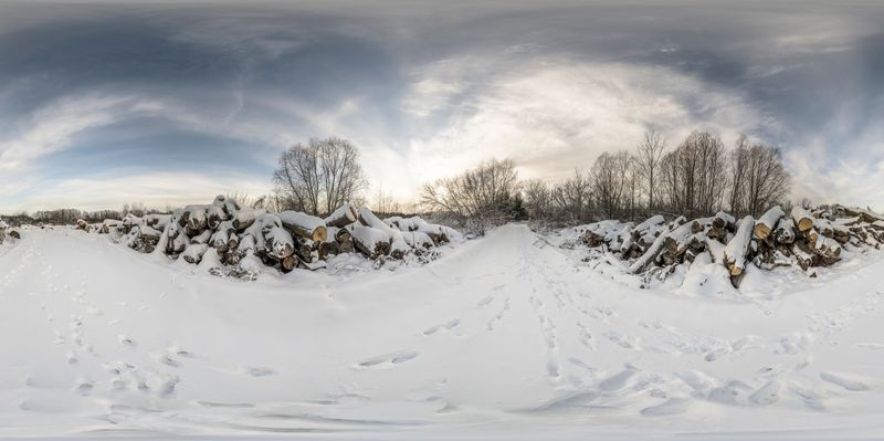 Canadian Suburbs: A Snowy Landscape in Toronto HDRi Maps and Backplates