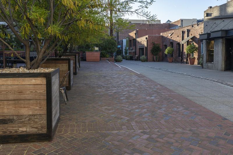 City Surface: Tree Shade and Curbs HDRi Maps and Backplates
