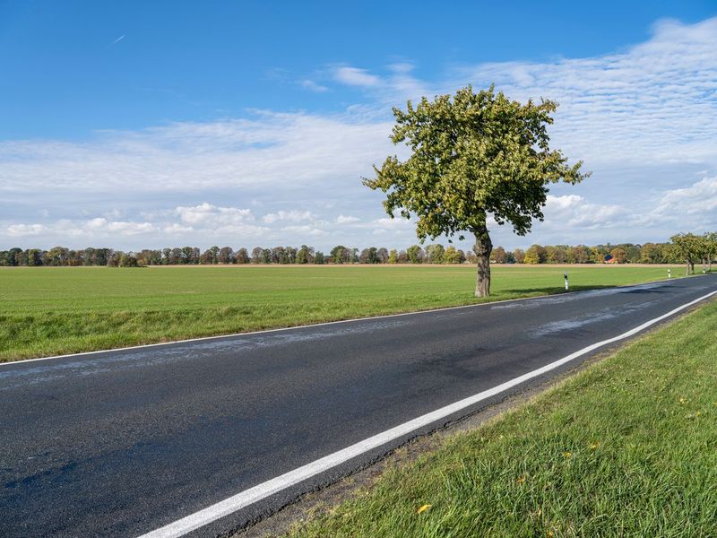 Clear Sky Day in Berlin, Germany HDRi Maps and Backplates