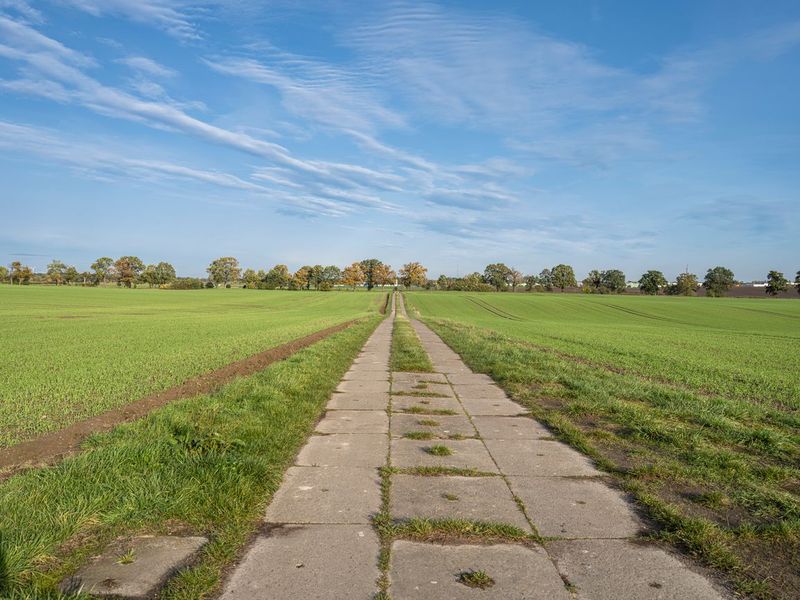 Clear Sky Landscape with Trees in Berlin HDRi Maps and Backplates