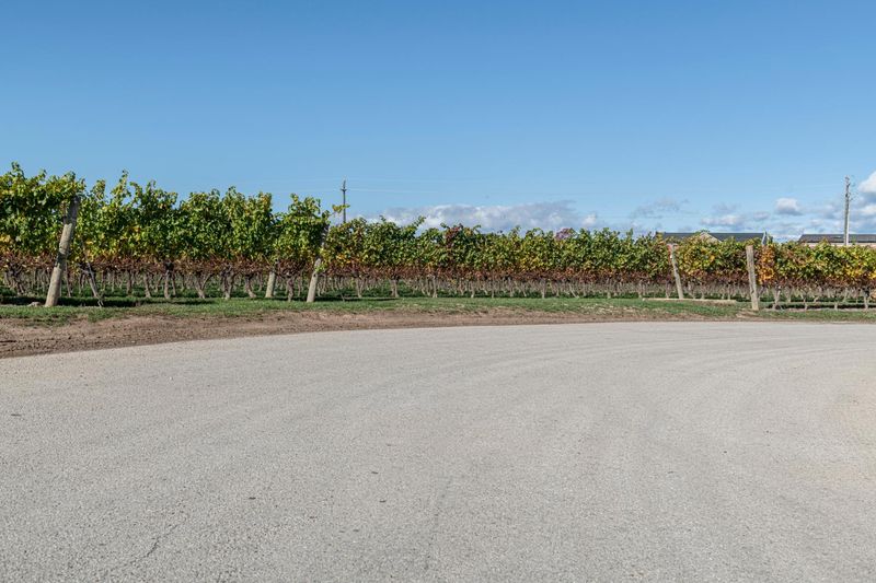 Rural road in Ontario, Canada with clear sky HDRi Maps and Backplates