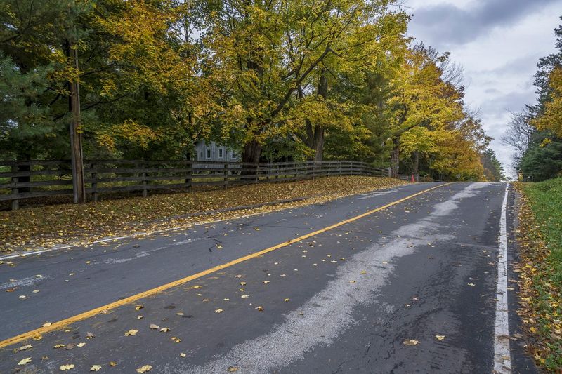 Cloudy Road Through the Autumn Forest HDRi Maps and Backplates