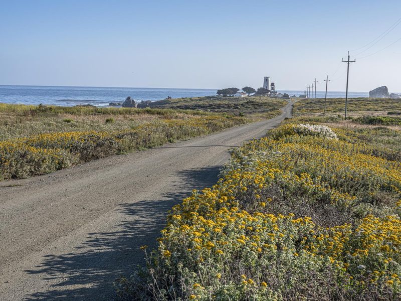 Coastal California: Beautiful Landscape with Ocean View HDRi Maps and ...