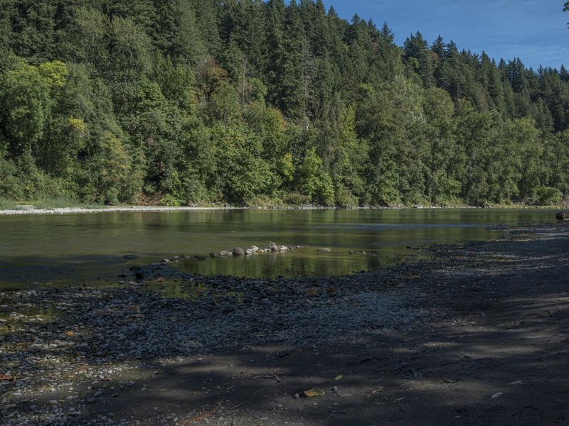 Coastal Landscape with River Shoreline and Evergreens HDRi Maps and ...