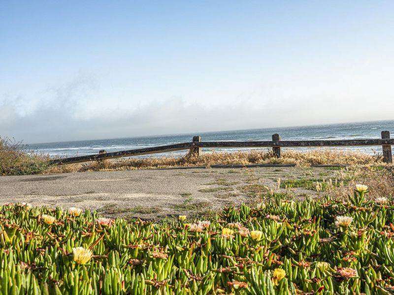 Coastal Road in California with Clear Sky and Spring Flowers HDRi Maps ...