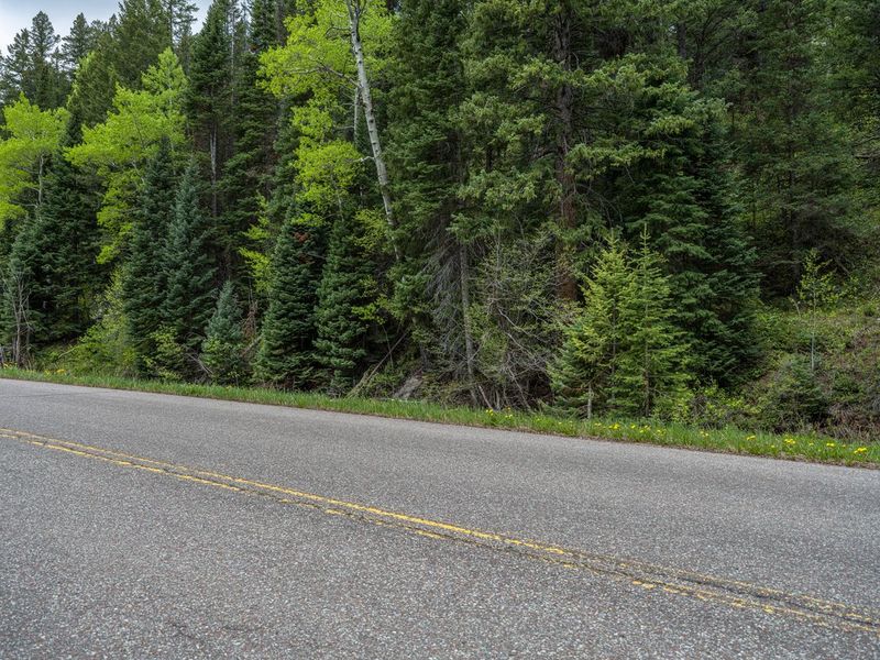 Colorado Aspen Forest Road Landscape HDRi Maps and Backplates