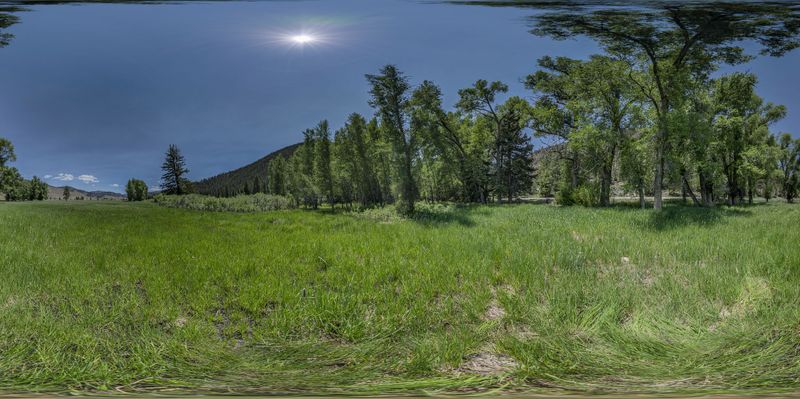 Colorado's Crested Butte: A Field of Grass and Trees HDRi Maps and ...