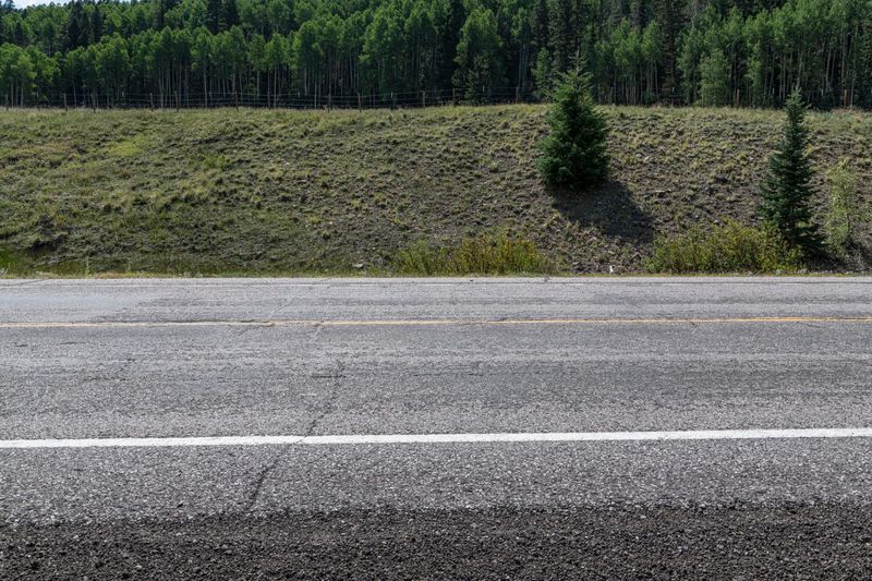 Colorado Forest Landscape with Asphalt Road HDRi Maps and Backplates