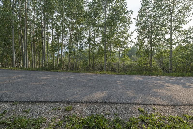 Colorado Forest Road in Telluride Landscape HDRi Maps and Backplates