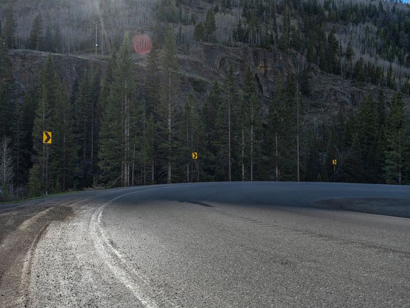 Colorado Road: Through Forest Shadows and Snow HDRi Maps and Backplates