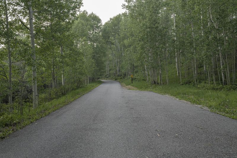 Colorado Road Landscape with Mountain and Forest HDRi Maps and Backplates
