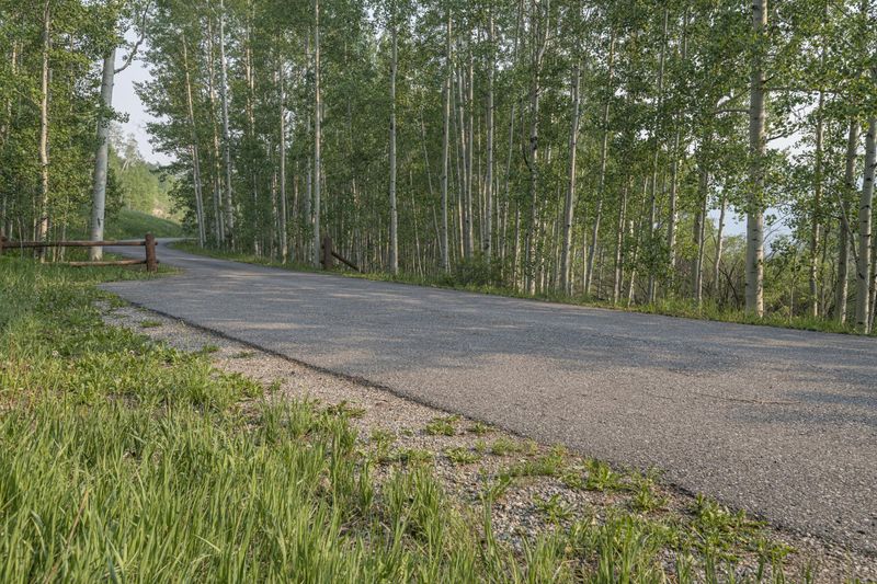 Colorado Road Through Tall Grass and Trees HDRi Maps and Backplates