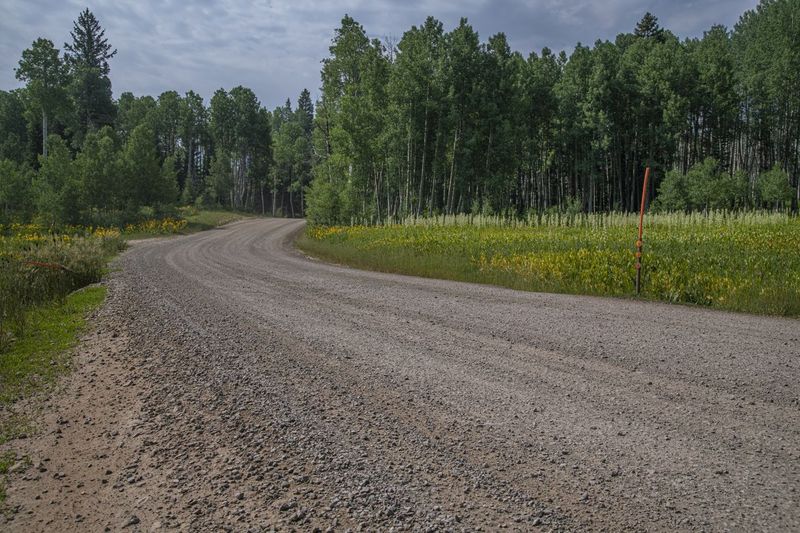Colorado Road Through Scenic Landscape HDRi Maps and Backplates