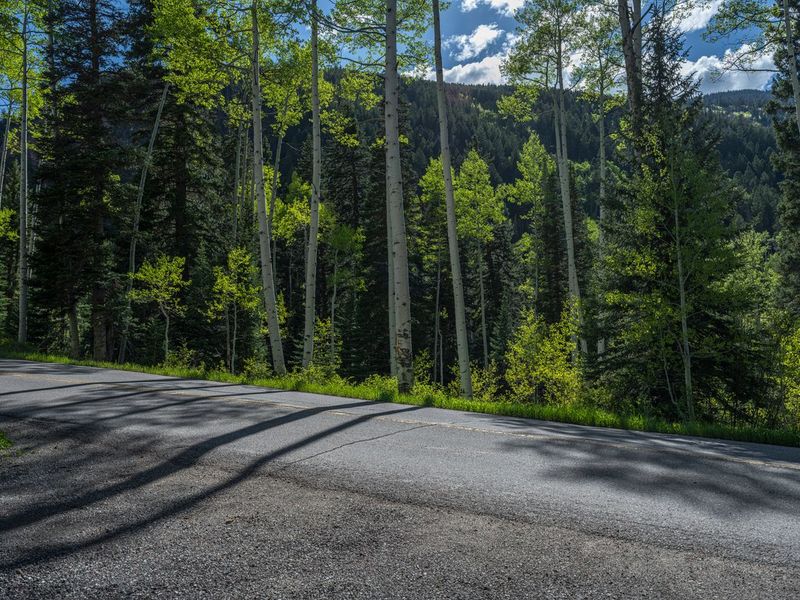 Colorado Rural Landscape with Aspen Forest HDRi Maps and Backplates