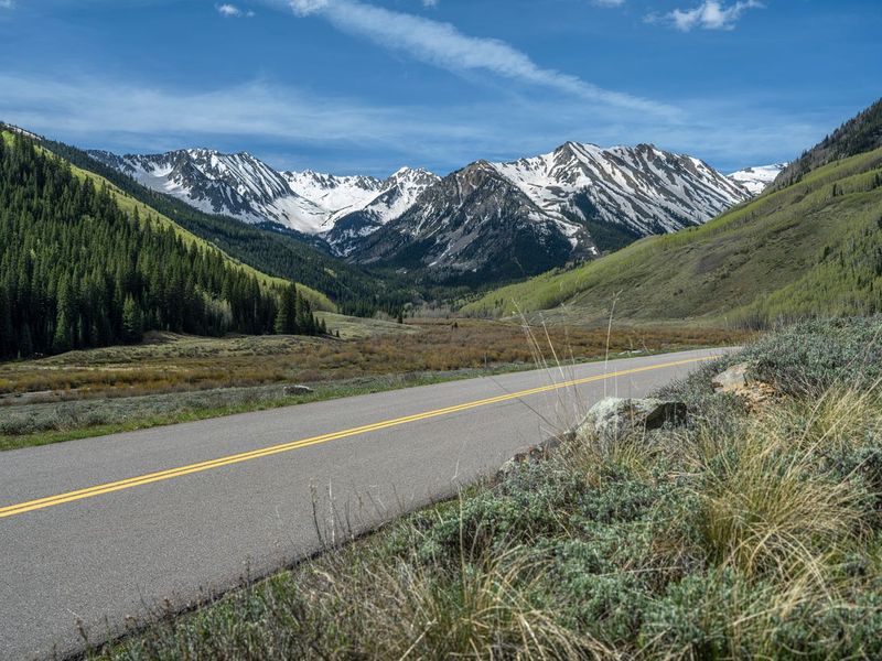 Snowy Landscape of Colorado: Aspen Trees and Snow HDRi Maps and Backplates