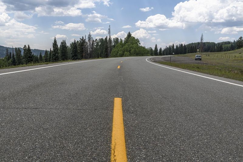 Colorado, USA: Asphalt Road Through Forest HDRi Maps and Backplates