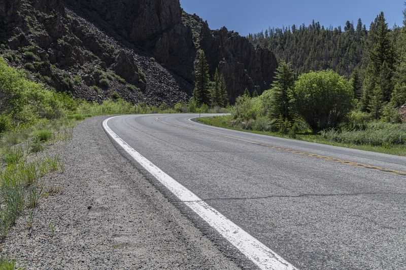 Crested Butte, Colorado: Road through Mountain Forest HDRi Maps and ...