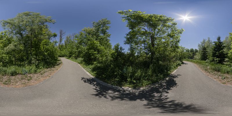 Curved Road Next to a Forest in Ontario, Canada HDRi Maps and Backplates
