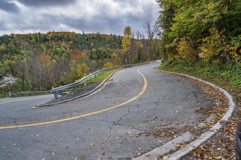 Curving Road Through Autumn Forest Colors HDRi Maps and Backplates