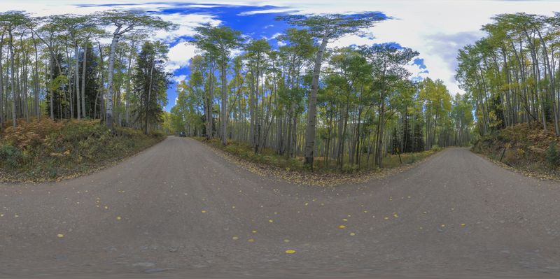 Straight Down the Road in a Lush Autumn Forest HDRi Maps and Backplates