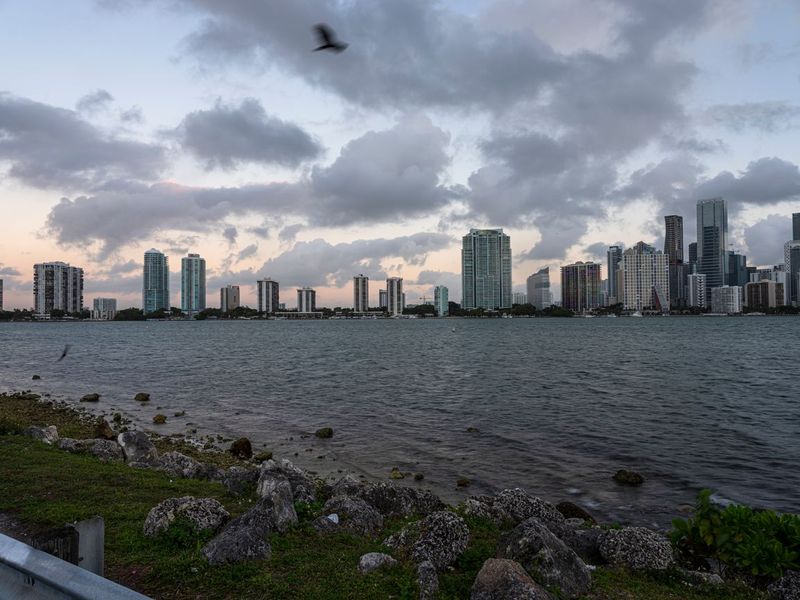 Dawn Coastal Cityscape of Miami Beach, Florida HDRi Maps and Backplates