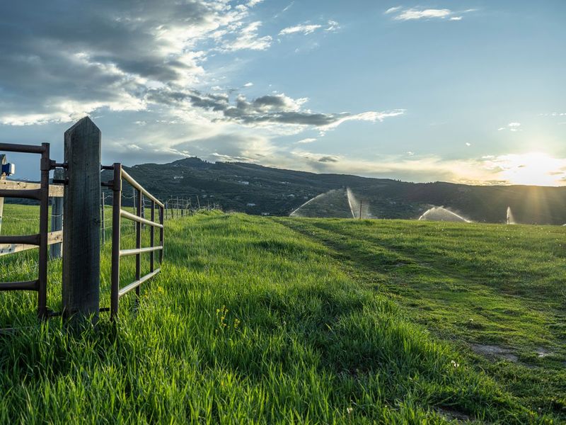 Dawn in Colorado: Green Farm Land HDRi Maps and Backplates