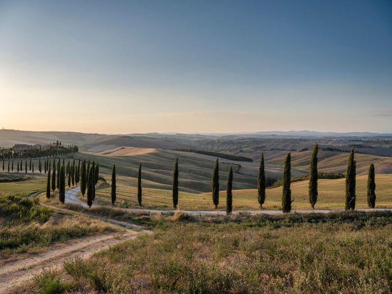 Dawn Landscape in Rural Tuscany, Italy HDRi Maps and Backplates