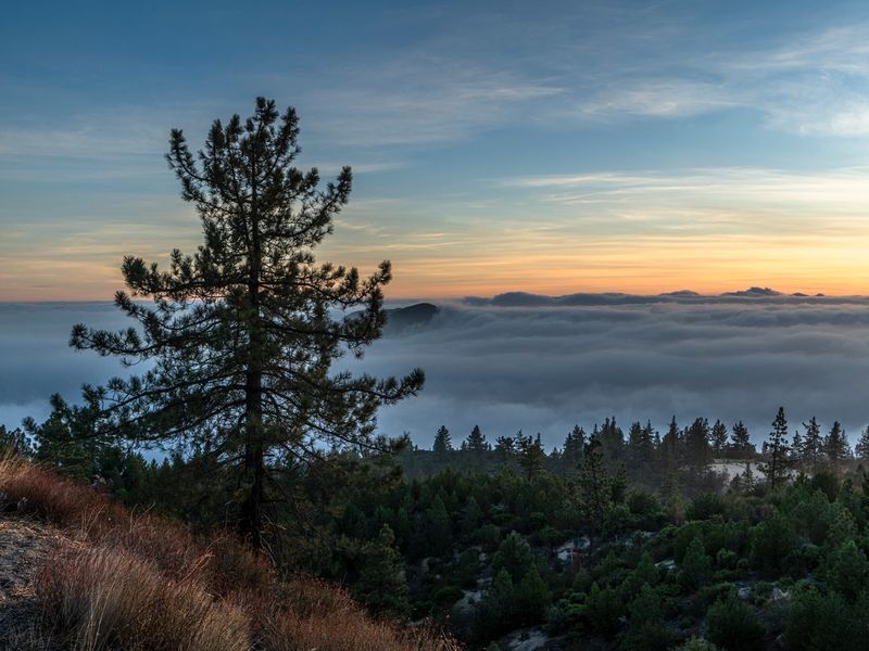 Dawn Landscape with Mountain Overlook HDRi Maps and Backplates