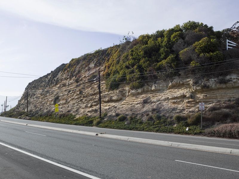 Daytime Highway: Tree Landscapes and Clear Skies HDRi Maps and Backplates