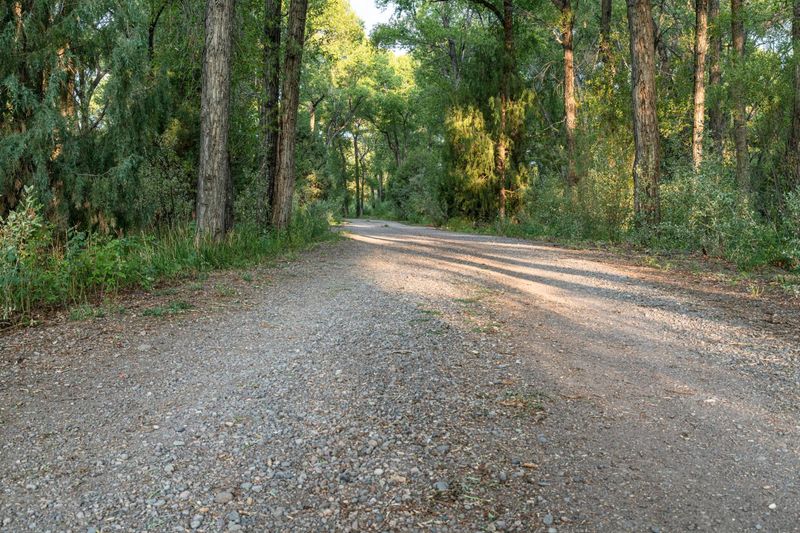 Dirt Road Through Forest in Antonito, Colorado HDRi Maps and Backplates