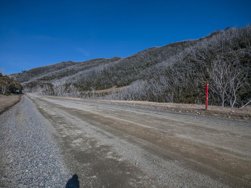 Dirt Road Through Forest with Clear Sky HDRi Maps and Backplates