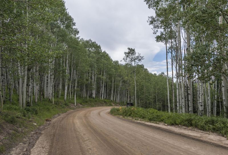 Dirt Road Leading to Aspen Forest in Crested Butte, Colorado, USA HDRi ...