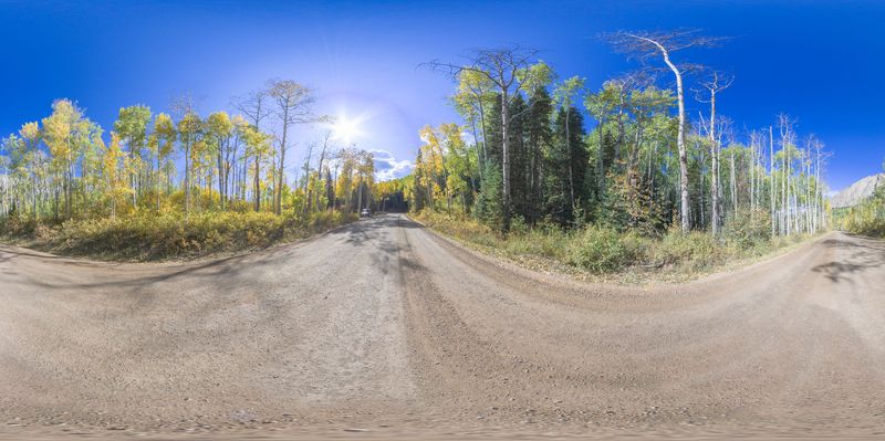 Dirt Road Through Mountain Forest: A Nature Escape HDRi Maps and Backplates