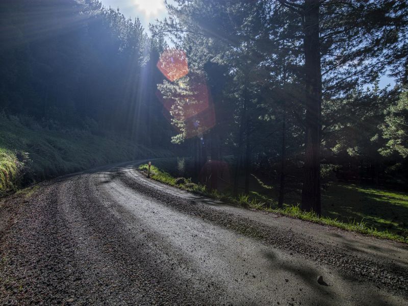 Rural Landscape: A Dirt Road HDRi Maps and Backplates