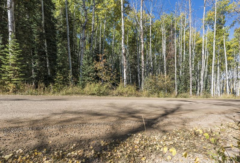 Dirt Road Through the Forest HDRi Maps and Backplates