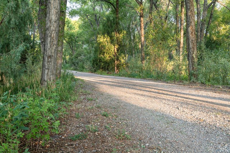 Dirt Road Through Lush Forest in Antonito, Colorado HDRi Maps and ...