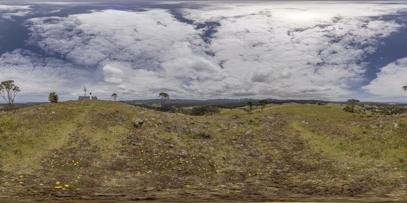 Dramatic Landscape in the Highlands: Grass Hills and Trees HDRi Maps ...