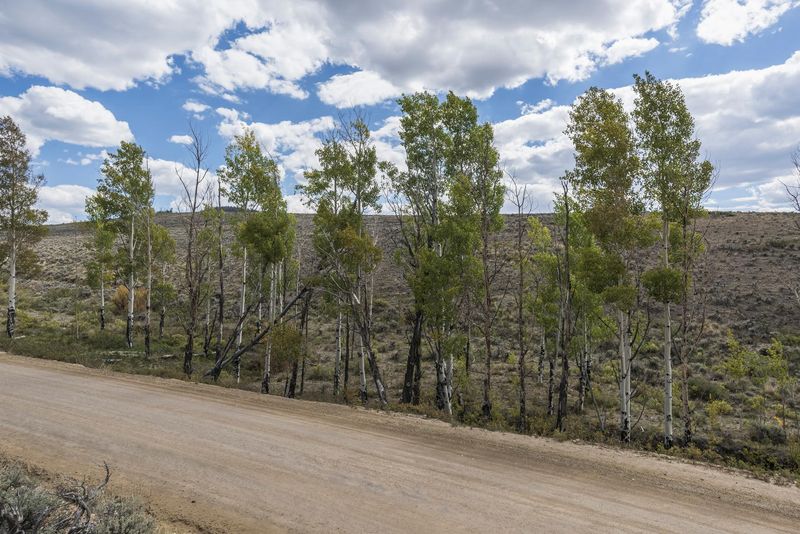 Elevated Dirt Road Through Forest Landscape HDRi Maps and Backplates