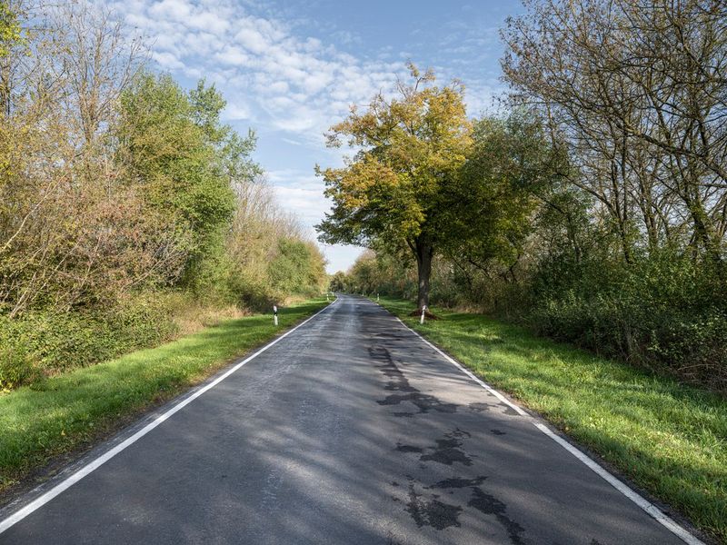 Empty Country Road in Rural Germany HDRi Maps and Backplates