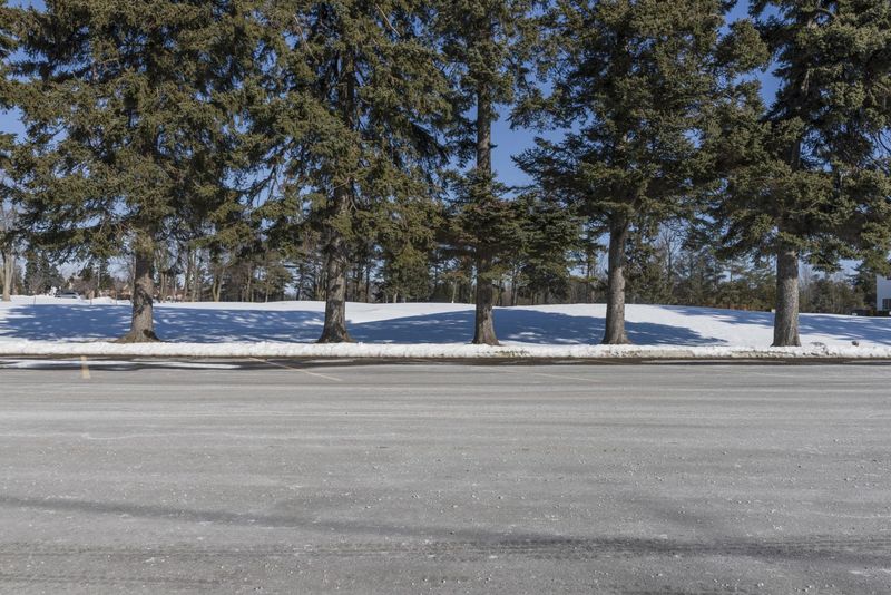 Empty Parking Lot in a Snow-covered Area with Trees HDRi Maps and ...