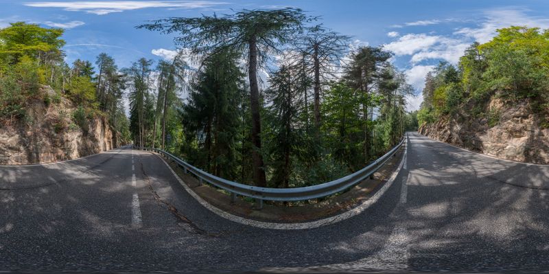 Empty Road in Austria: A Serene Forest Landscape HDRi Maps and Backplates