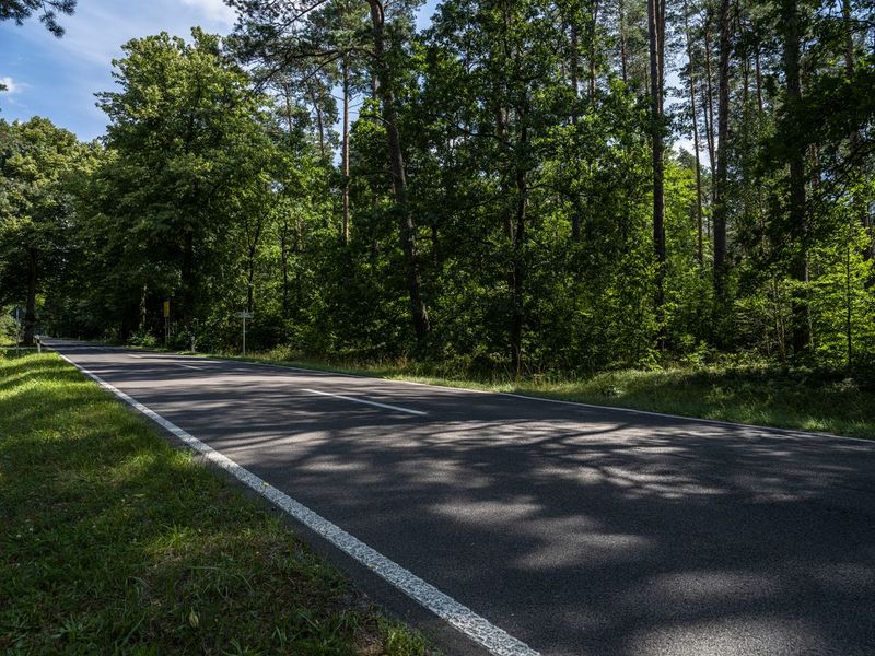The Empty Road in Berlin's Forest HDRi Maps and Backplates