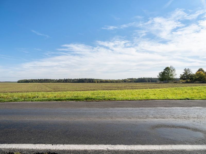 Empty Road with Grass and Trees in the Background HDRi Maps and Backplates