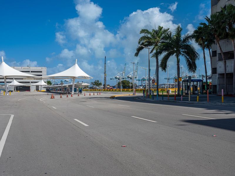 Empty Road with Palm Trees at Miami Beach Pier HDRi Maps and Backplates